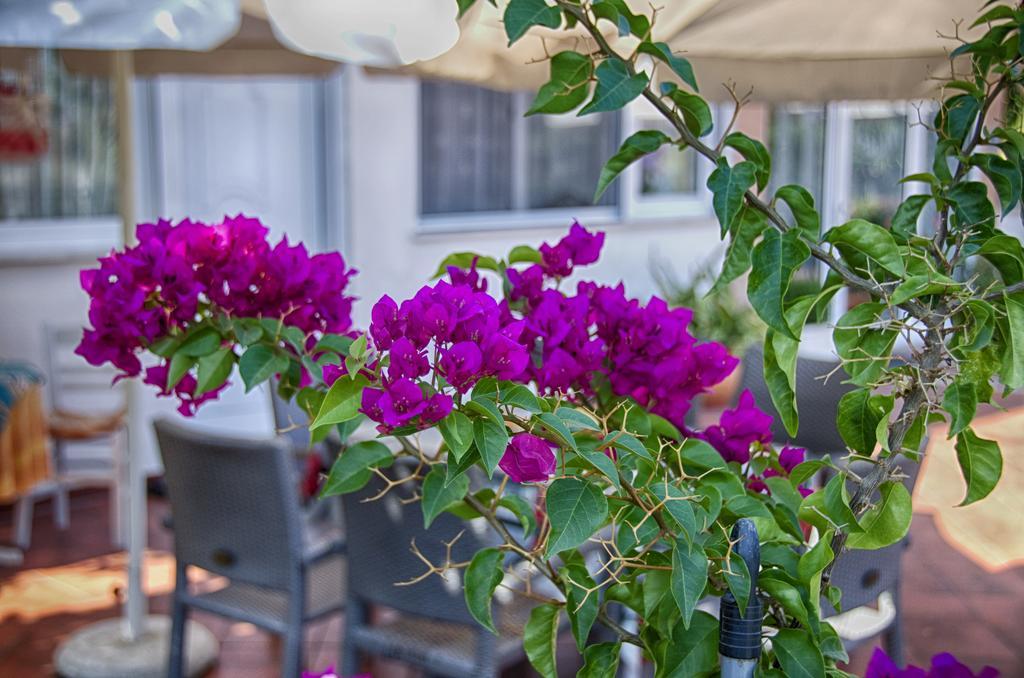 Galini Apartments Olympiakí Aktí エクステリア 写真